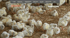 Desktop Screenshot of glorybators.com